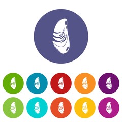 Sea shell icon. Simple illustration of sea shell vector icon for web