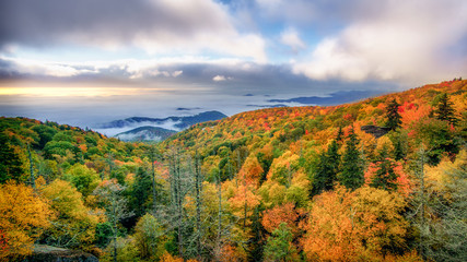 Autumn early morning Blue Ridge Parkway Overlook on Grandfather Mountain 