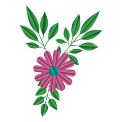 flowers and leafs decoratives vector illustration design