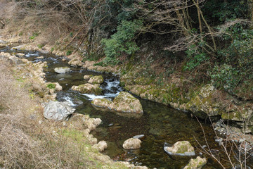 Fototapeta na wymiar 里山の渓流