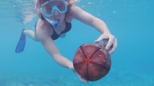 Woman Holding And Examining A Red Pincushion Starfish Posing To The Camera Underwater In The Maldives.