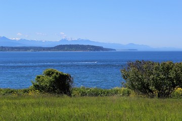 A view of the Olympic mountain range and Puget Sound  from a field on Whidbey Island