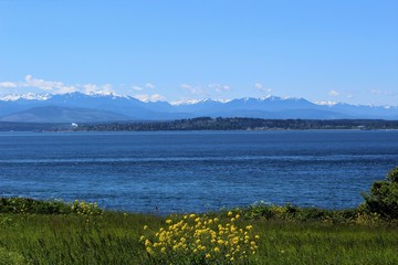 A view of the Olympic mountain range and Puget Sound  from a field on Whidbey Island