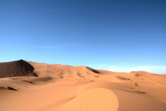 サハラ砂漠 © TDMMR