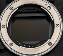 sensor of a modern mirrorless camera