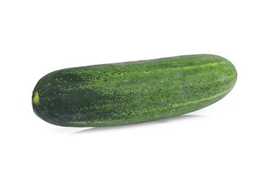 sinlge whole cucumber isolated on white background