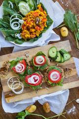 Vegan sandwiches on whole wheat bread with onion rings, tomatoes. fresh salad leaves, and cucumber slices with lemon juice. Vegetables diet for lunch and dinner. Raw vegetarian healthy food