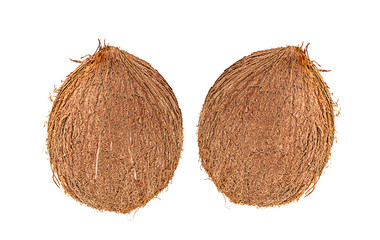  brown coconut isolated on white background