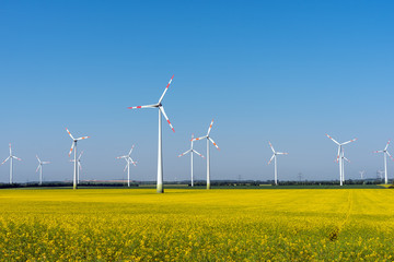 Wind power plants in a blooming rapeseed field seen in rural Germany