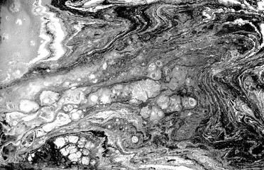 Fototapeta premium Marble abstract acrylic background. Nature black marbling artwork texture.