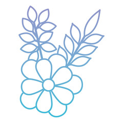 flowers and leafs decoratives vector illustration design