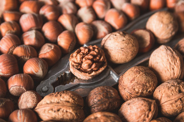 Fresh uncleaned in the shell organic walnuts and hazelnuts with nut cracker on sackcloth