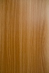 wood background texture, abstract, natural background