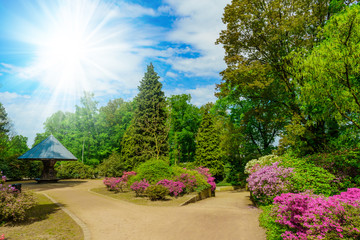 Obraz premium Beautiful garden. city park