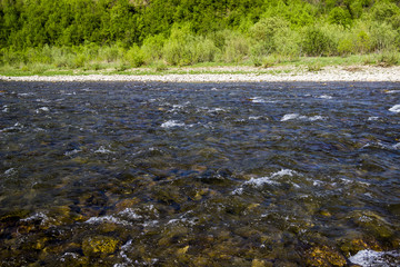 river Striy at the Carpathian mountains