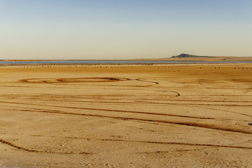 Tyre tracks on the beach