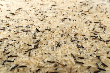 Raw Black Wild Rice Background