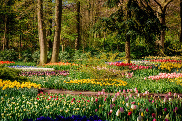 Beautiful garden. Park in The Spring. Spring landscape