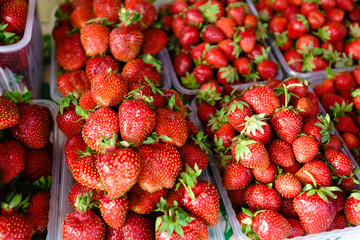 fresh strawberries for sale at a market
