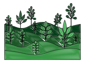 field landscape natural scene vector illustration design