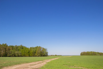 A dirt road through a field