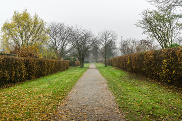 Fototapeta na wymiar Path in park