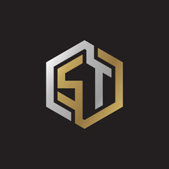 Initial letter ST, looping line, hexagon shape logo, silver gold color on black background