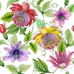 Foto op Plexiglas Beautiful passion flowers (passiflora) on climbing twigs with leaves and tendrils on white background. Seamless floral pattern. Watercolor painting. Hand painted illustration. © katiko2016