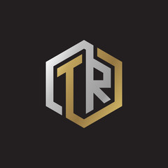 Initial letter TR, looping line, hexagon shape logo, silver gold color on black background
