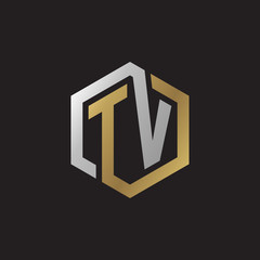 Initial letter TV, looping line, hexagon shape logo, silver gold color on black background