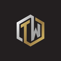 Initial letter TW, looping line, hexagon shape logo, silver gold color on black background