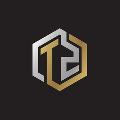 Initial letter TZ, looping line, hexagon shape logo, silver gold color on black background
