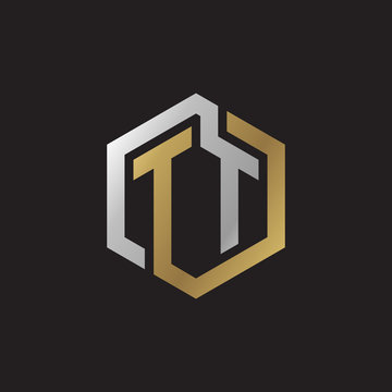 Initial letter TT, looping line, hexagon shape logo, silver gold color on black background