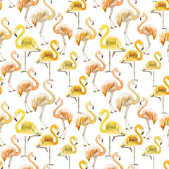 Beautiful yellow and orange flamingo on white background. Exotic seamless pattern. Watercolor painting. Hand drawn and painted illustration.