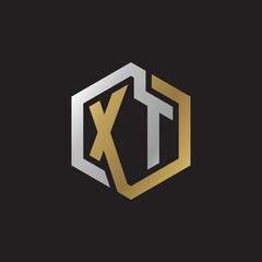 Initial letter XT, looping line, hexagon shape logo, silver gold color on black background