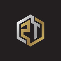 Initial letter ZT, looping line, hexagon shape logo, silver gold color on black background