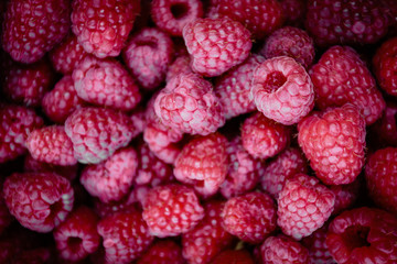 Fresh raspberries background closeup photo