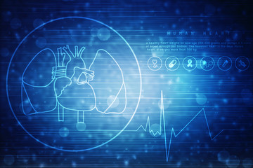 2d illustration  Anatomy of Human Heart 
