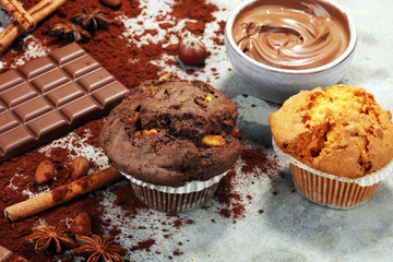 Chocolate muffin and nut muffin, homemade bakery on grey background