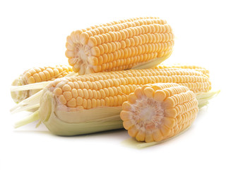 Fresh corn