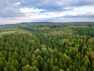 Fototapeta na wymiar Aerial view over swedish conifers green forest with hills in the background, Automn countryside Skåne County, Sweden