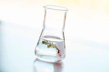 flask for bio research