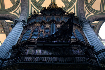 organ