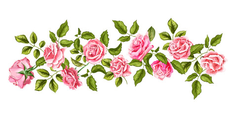vector rose flower blossom leaf pattern