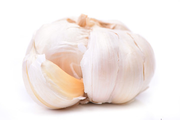 Fresh garlic