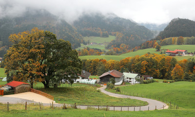 A winding country road curves between green fields and autumn trees leading to a farmhouse on a...