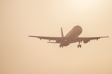 Plane landing during sunset