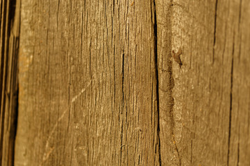 Old wooden background. Wooden table or floor.