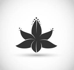 Lotus flower icon vector