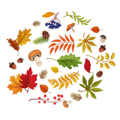 Vector sketch autumn forest symbol set